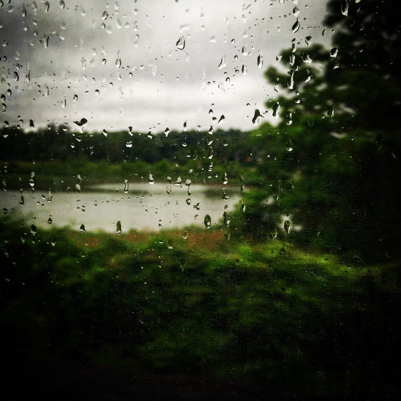 Raindrops on a window, with a blurred green shoreline, a lake and gray sky beyond.